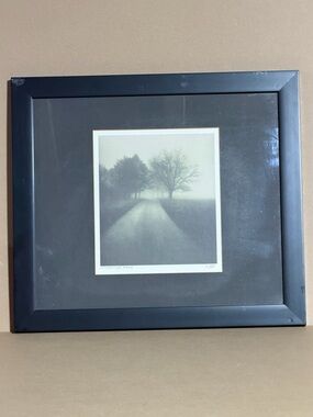 Richard Calvo Framed “Carriage Road” Misty Landscape Photo Wall Art